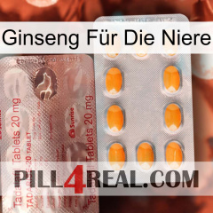 Ginseng Für Die Niere new13